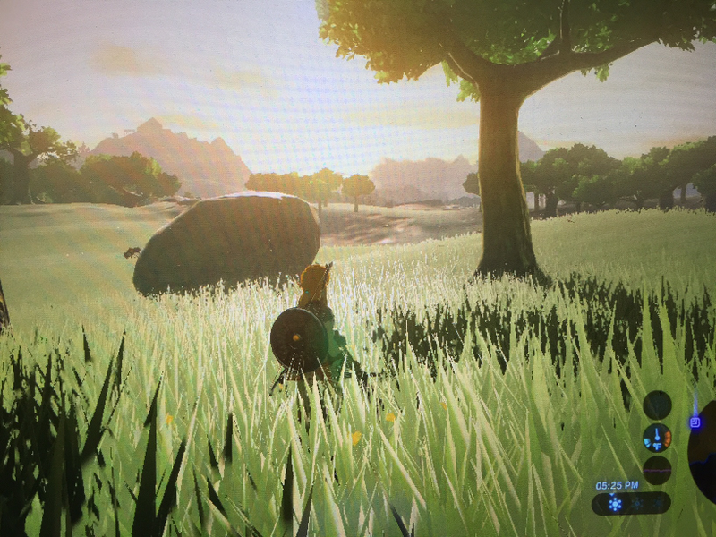 Illustration for article titled Here are Some of my Favorite Screenshots from The Legend of Zelda: Breath of the Wild